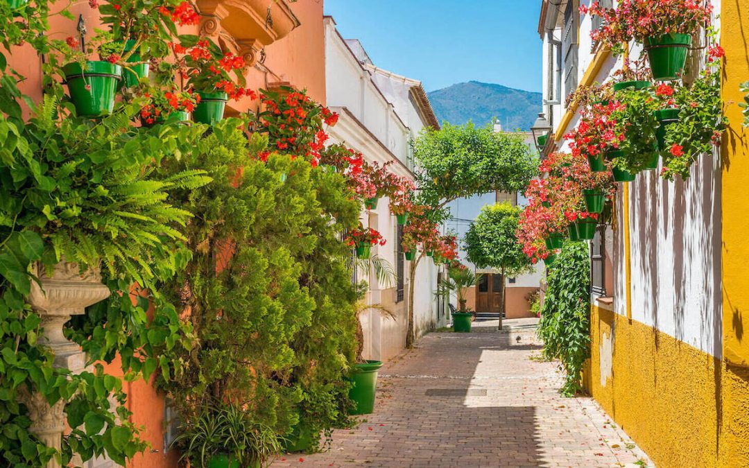 Malaga’s Transformation: From Tourism City to International Business Hub
