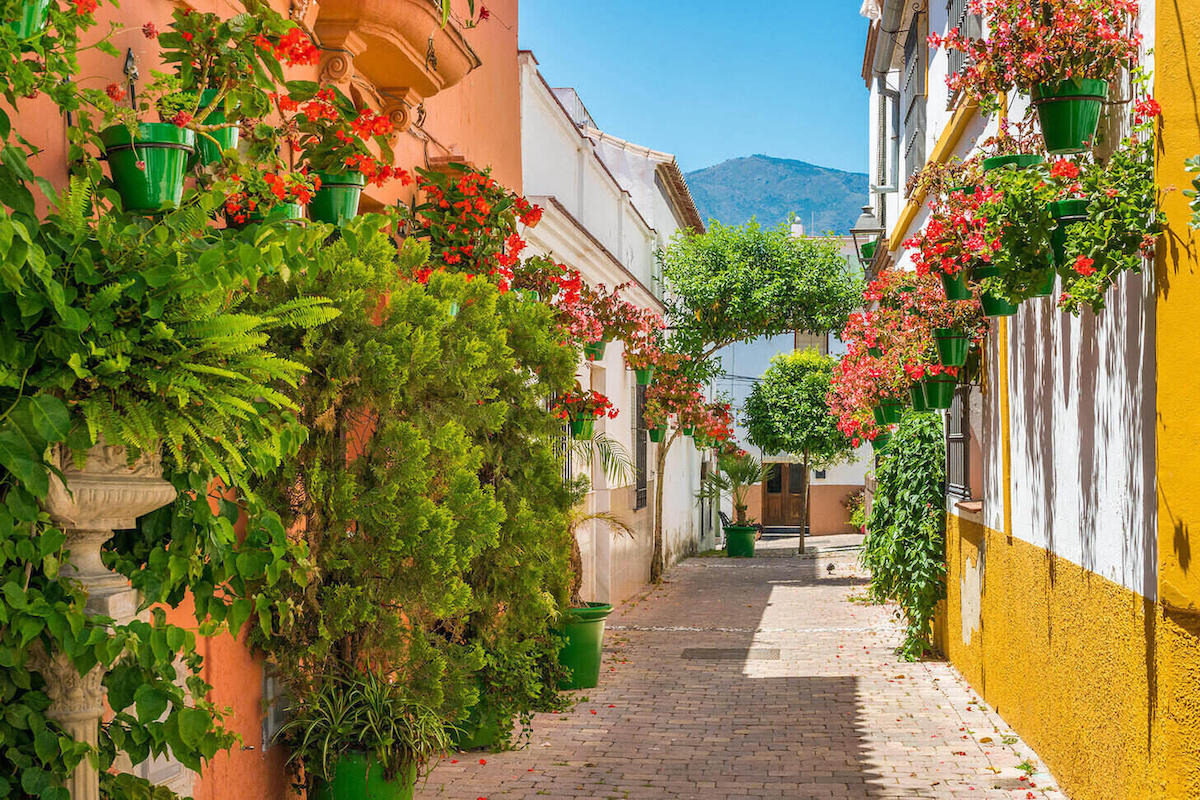 Estepona-flowers